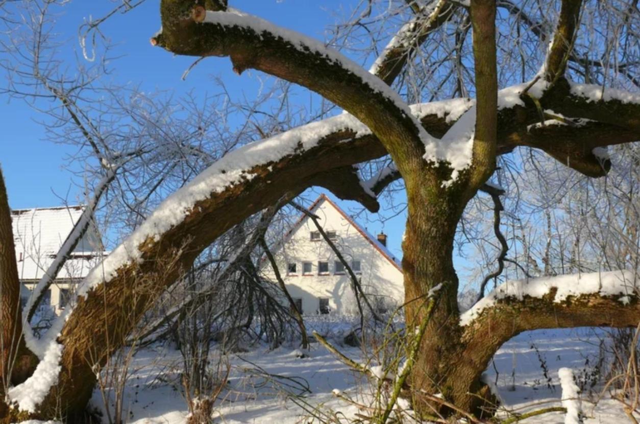 Kulturgutleben Boutiquehotel Seminarhaus Mollenbeck Dış mekan fotoğraf